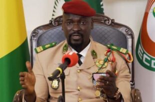 The government makes a decision after the N'Zerekore tragedy