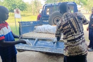 A farmer stung to death by bees