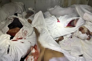 Corpses of tortured people discovered in Damascus