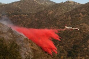 Fires in the USA: what impact on the environment?