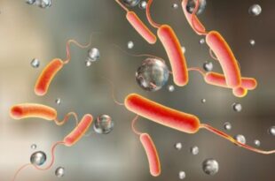 Cholera kills three in Ghana