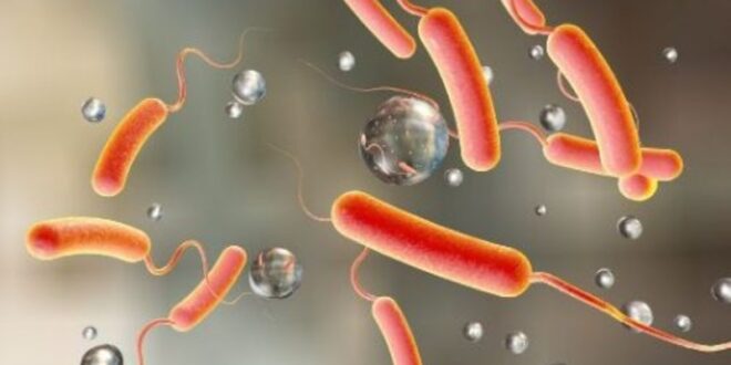 Cholera kills three in Ghana