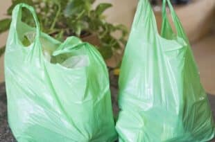 Guinea-Bissau: ban on the import and use of plastic bags
