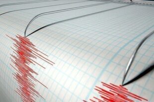 China: several dead in powerful earthquake