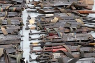 DRC: hundreds of weapons collected by children