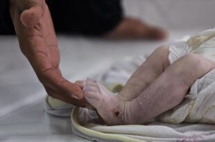 Gaza: 6 babies freeze to death in enclave