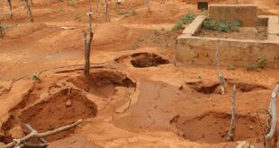 Togo: Headless bodies in Muslim cemeteries