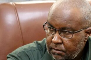 Namibia: minister dismissed and arrested for alleged vi0l