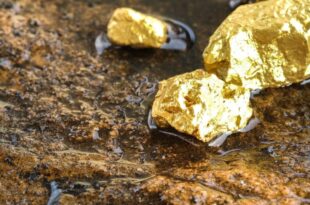 Ivory Coast discovers a world-class gold mine