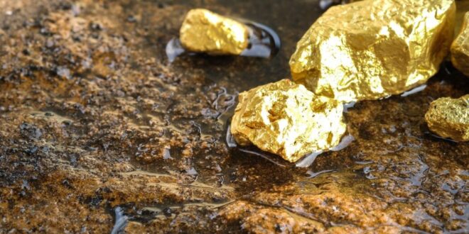 Ivory Coast discovers a world-class gold mine