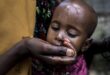 Madagascar: Food poisoning kills 12