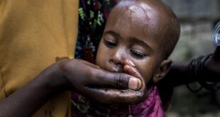 Madagascar: Food poisoning kills 12