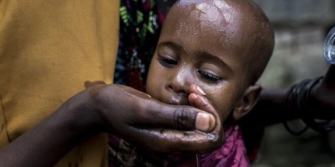 Madagascar: Food poisoning kills 12
